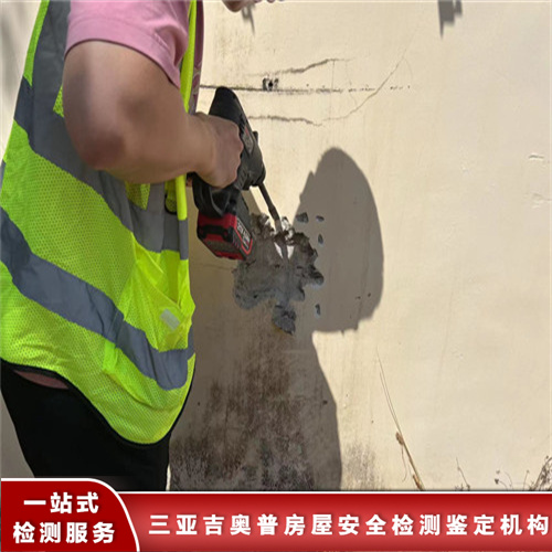 乐东县自建房检测单位