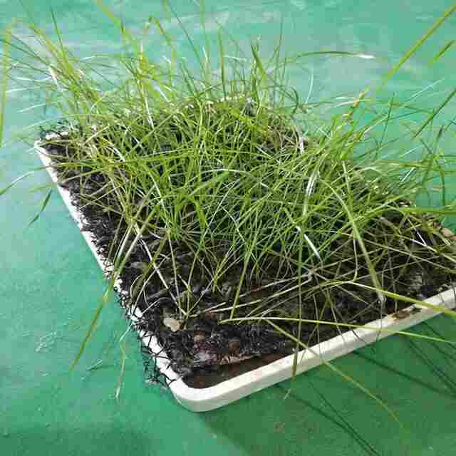 欢迎访问-辽宁辽阳硬质透水管-欢迎您