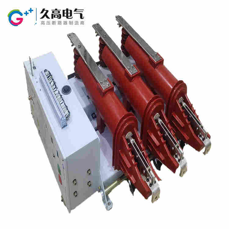 VER-12DG户内三工位真空断路器.jpg