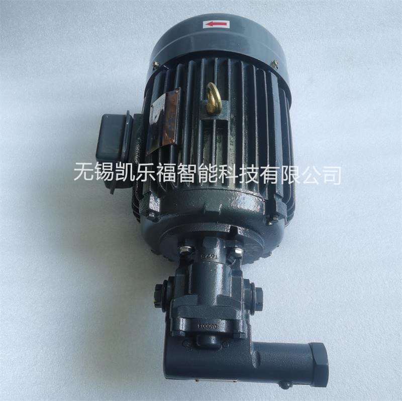 三明市将乐县齿轮泵KF200RF31-GJS滤油机油泵
