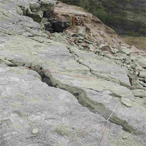 河南省漯河市二氧化碳爆破批发价 河南省漯河市二氧化碳爆破批发价