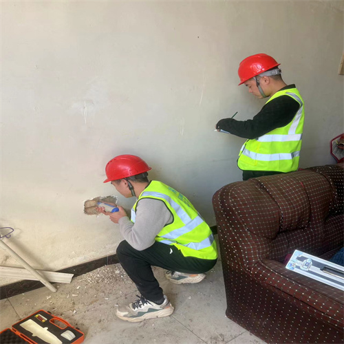 喀什地区民宿房屋安全质量检测机构