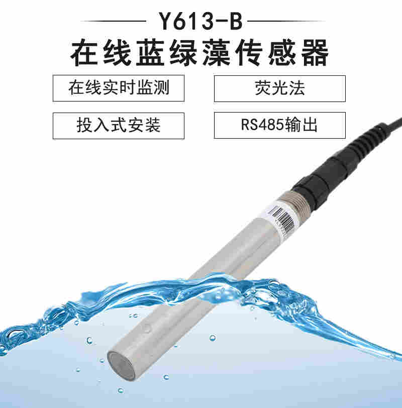 Y613-B荧光法蓝绿藻传感器