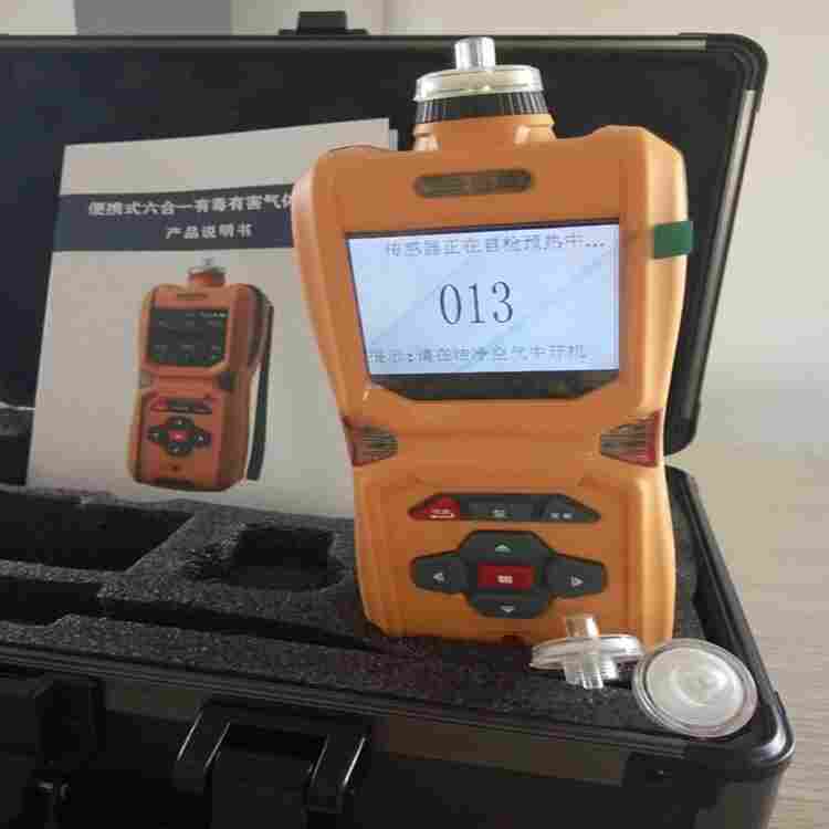 LB-MS6X泵吸多气体 检测仪