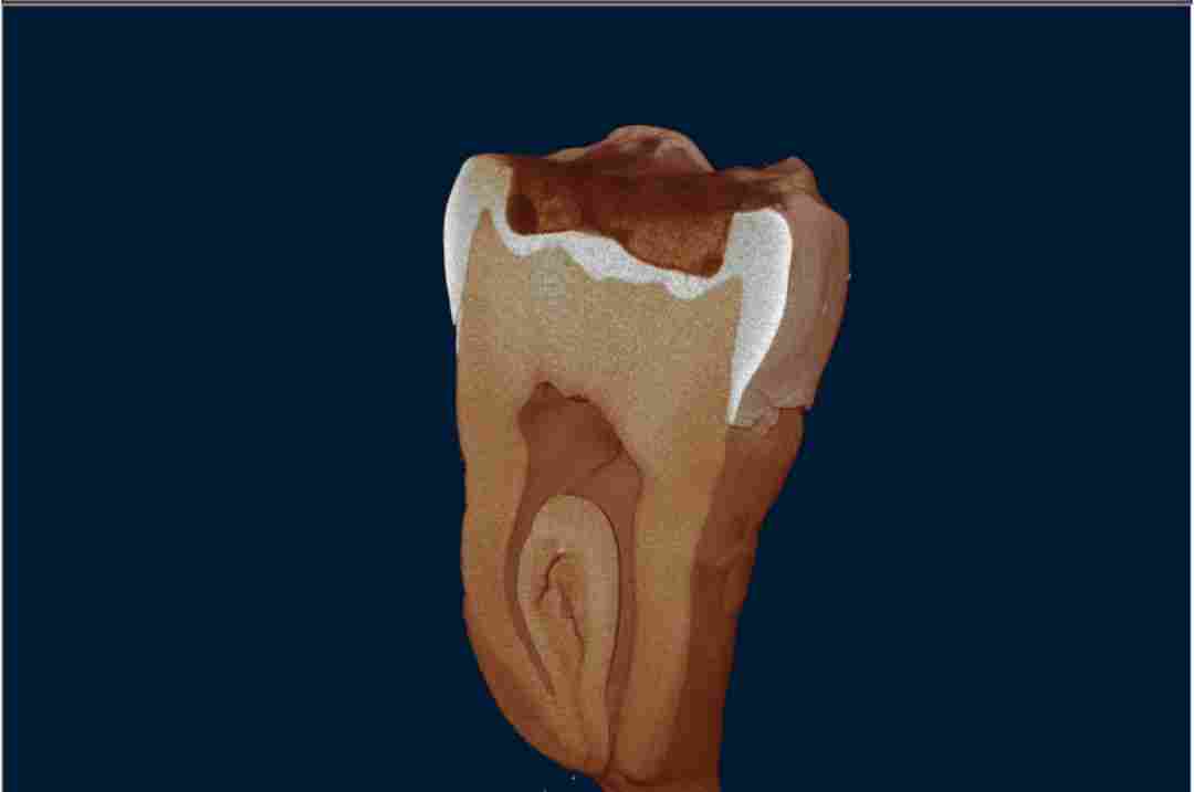 N60 紧凑型台式显微 CT