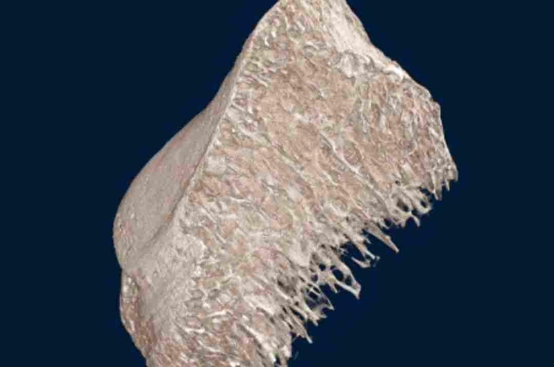 N80 高分辨台式显微 CT