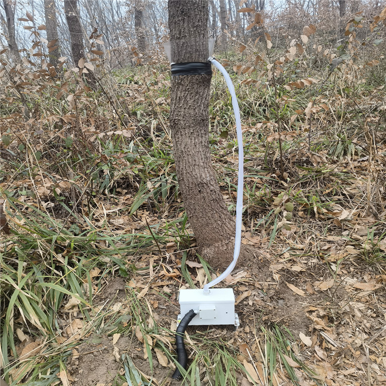 树干径流量监测系统性能