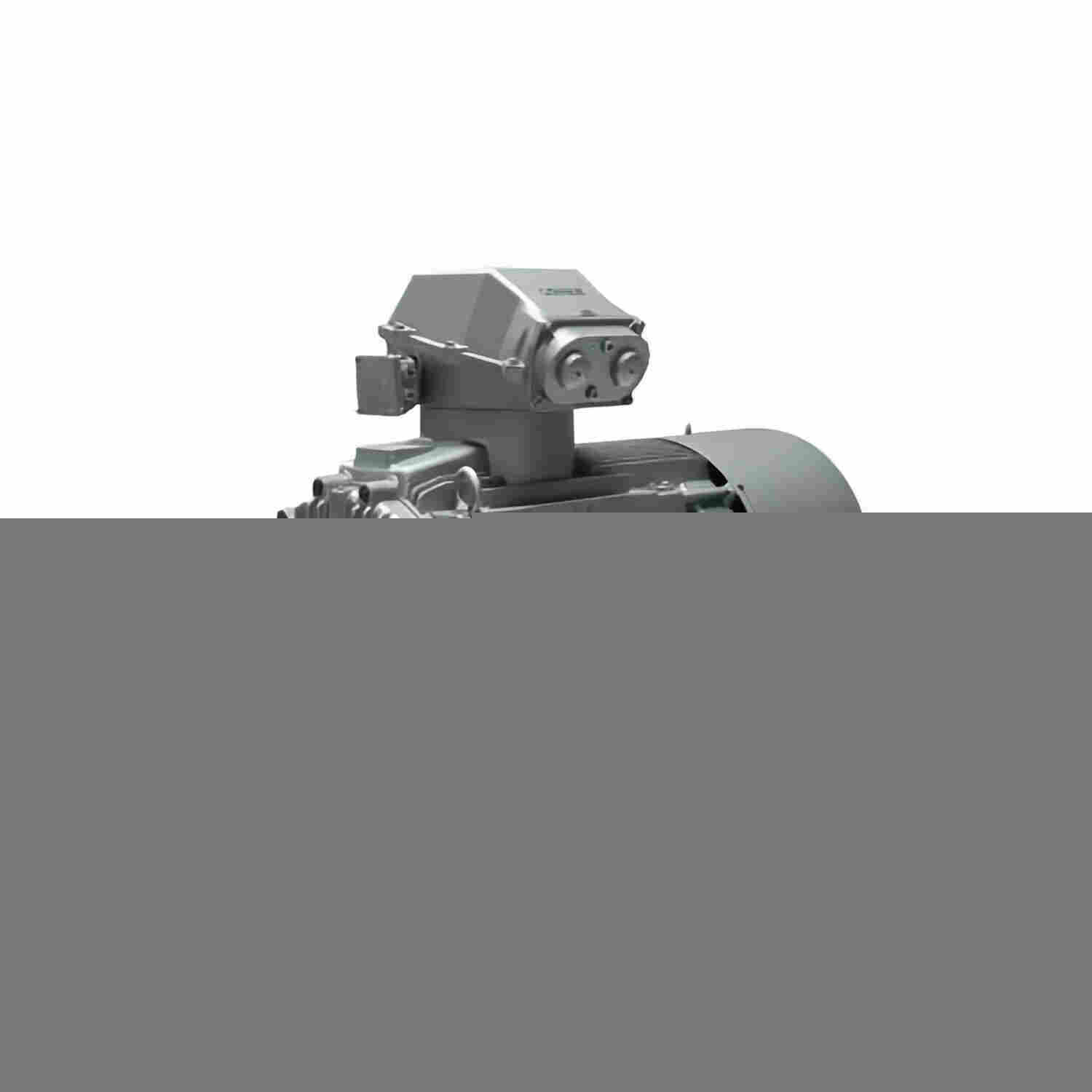 经销LAMMERS交流电机