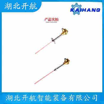 WZPK-376 铂铑热电阻 开航