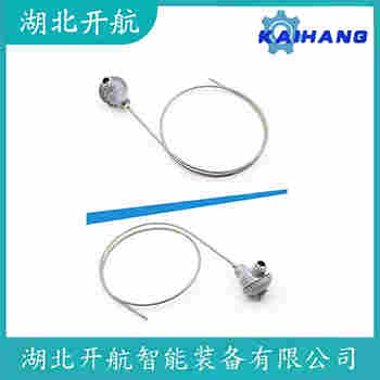 WZPK-266 铂铑热电阻 开航