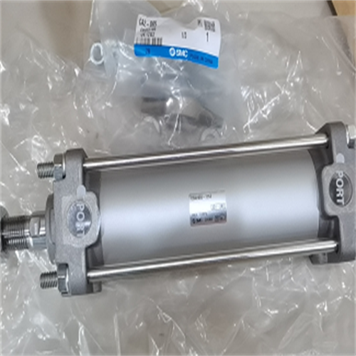 1765760788417830.png CDA2D40-600JZ-M9BAZ 日本SMC标准气缸