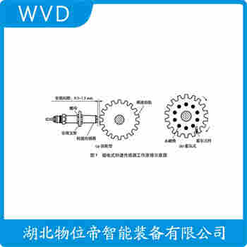 速度传感器SZCB-01-A50-B03 WVD
