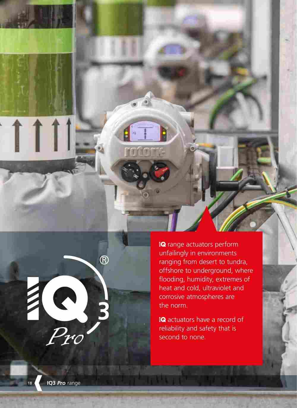 IQT125罗托克电动执行器角行程rotork