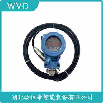 投入式液位变送器 YX-136FT WVD
