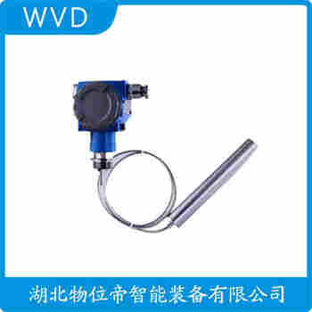 分体投入式液位变送器 CP-BPS308 WVD