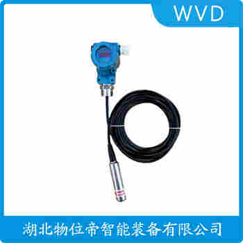 分体投入式液位变送器 PDS863WH-1DS31-A1DN-P-0606B-300TF1DB WVD