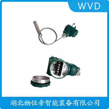 投入式静压液位传感器 DLT-BP880 WVD