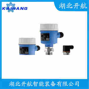 音叉物位开关 BJ-170GDSPYC开航