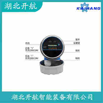 音叉物位开关 FTL20-0125开航