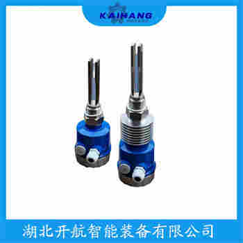 音叉料位开关 2120D1AH1I1AA0000开航