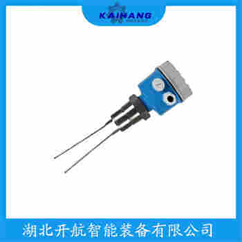 音叉料位开关 FTL31开航