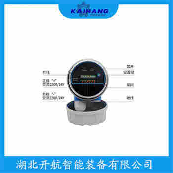 音叉物位开关 FTL51-AGR2BB2G4A开航