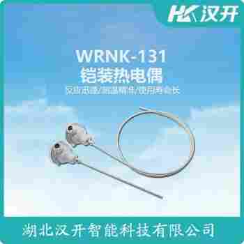 WRN-013T 铂铑热电偶操作流程