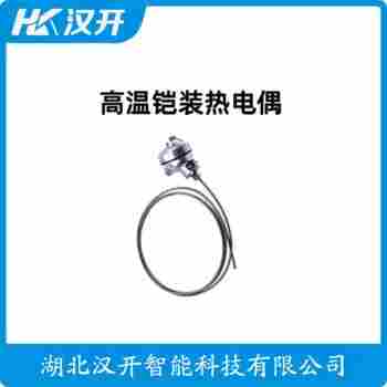 FBWRPK-430AC 热电偶应用案例