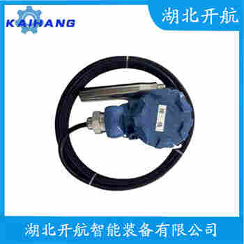 分体投入式液位变送器 SWP-T20L 开航