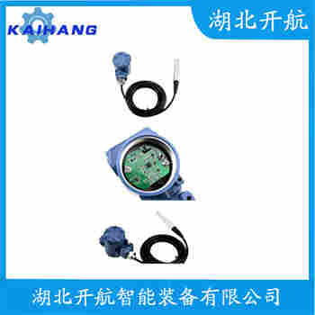 FMX167/DB52A/DB51A 分体投入式液位变送器