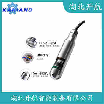 分体投入式液位变送器 HSBG-E71001G09 开航