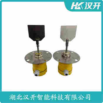 阻旋料位仪 HCZX100B4750CX 汉开