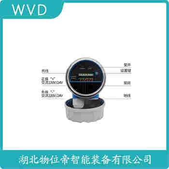 FTI55-AAC1RVJ43A1A 音叉物位开关 WVD