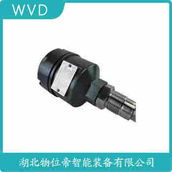 音叉物位开关DHE-FT-1EUCFFR200RDA1 WVD