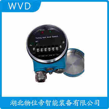 FTI56-AAD1RV143B1A 音叉料位开关 WVD