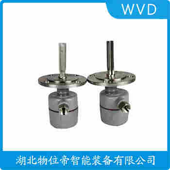 FTM21-AA342A 音叉物位开关 WVD