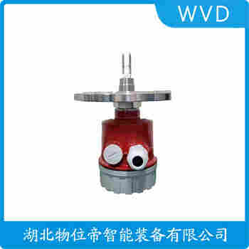 VN4000 音叉料位开关 WVD