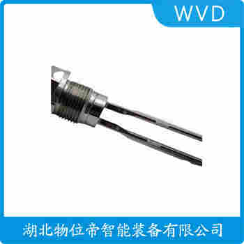 FTM21-AM246A 音叉物位开关 WVD