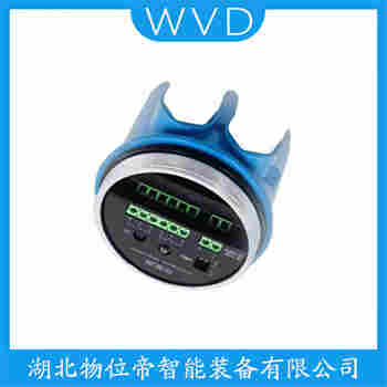 2120D1GK1I1AH0000 音叉物位开关 WVD