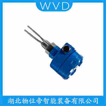 2120D1DV1E5Y0000 音叉料位开关 WVD