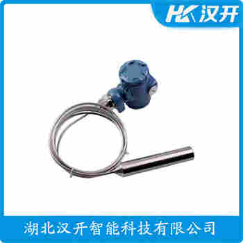 DS2640 投入式液位变送器