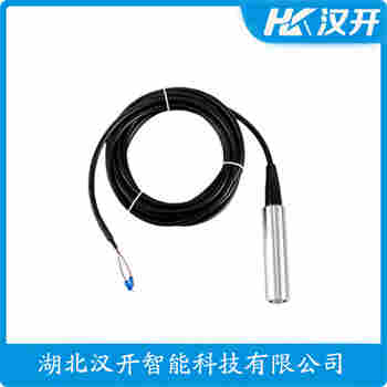 SWTL 分体投入式液位变送器
