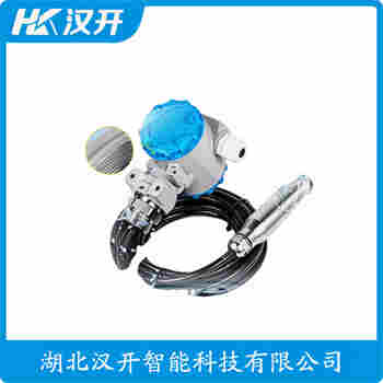 CYG2313 分体投入式液位变送器