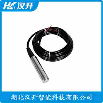 CYW12-L1-B5-A1U-B-G5 分体投入式液位变送器 汉开