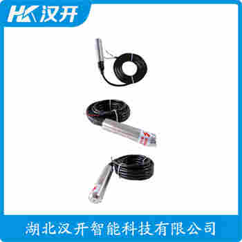 SUP-P260-5-316-DSOY 分体投入式液位变送器 汉开