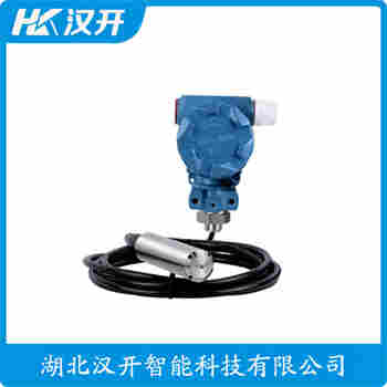 VP51-P2 投入式静压液位传感器 汉开