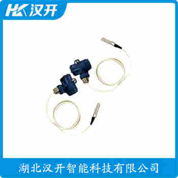 BP900 投入式液位变送器