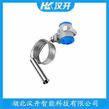 YTJ-33A 分体投入式液位变送器 汉开