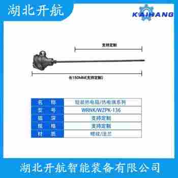 热电偶 WREK2-431应用案例