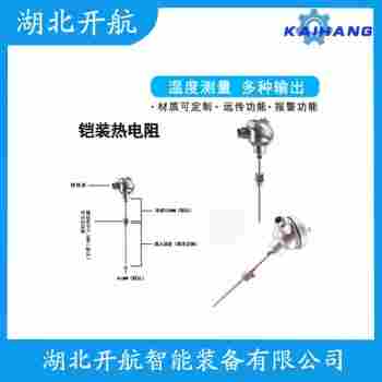 热电偶 WRJ-241维护建议